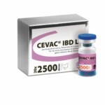 Cevac-IBDL- Packshot