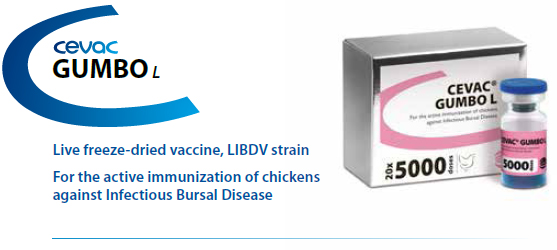 Cevac_GUMBO_L-header