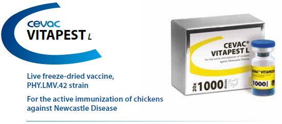 Cevac Vitapest L - header