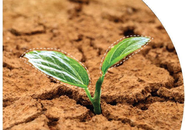 Invitation VIV ABU DHABI 20-21 November 2023